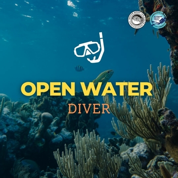 Курс для начинающих / Open Water Diver